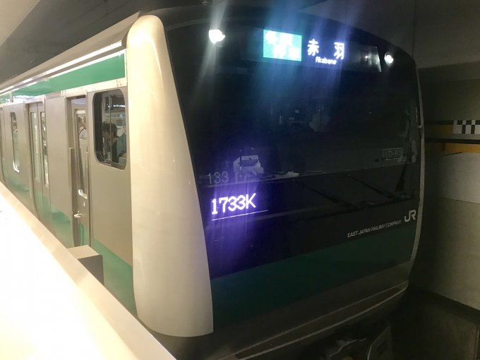 鉄道乗車記録の写真:乗車した列車(外観)(1)        「国際展示場駅で乗車列車を撮影。」