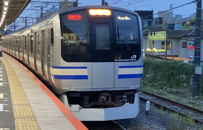 鉄道乗車記録の写真:乗車した列車(外観)(1)        「鎌倉駅に入線する乗車列車。」