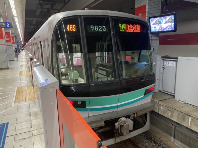 鉄道乗車記録の写真:乗車した列車(外観)(1)        「浦和美園駅に到着した乗車列車。」