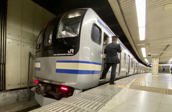 鉄道乗車記録の写真:乗車した列車(外観)(1)        「東京駅に到着した乗車列車。」