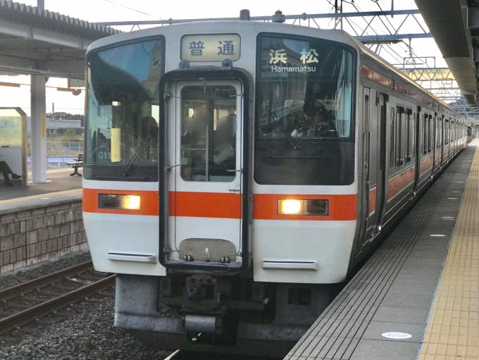 鉄道乗車記録の写真:乗車した列車(外観)(1)          「新所原駅に入線する乗車列車」