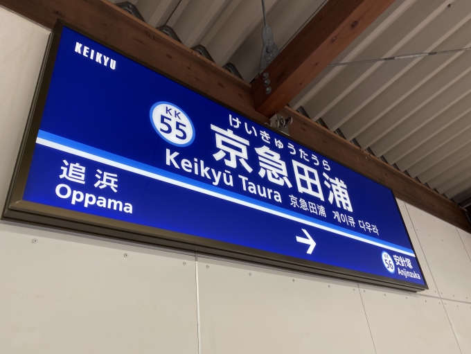 鉄道乗車記録の写真:駅名看板(2)        「京急田浦駅から乗車。」
