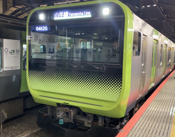 鉄道乗車記録の写真:乗車した列車(外観)(1)          「新宿駅に到着した乗車列車。」