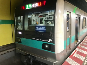 新御茶ノ水駅から大手町駅の乗車記録(乗りつぶし)写真
