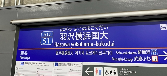 鉄道乗車記録の写真:駅名看板(3)        「羽沢横浜国大駅から乗車。」