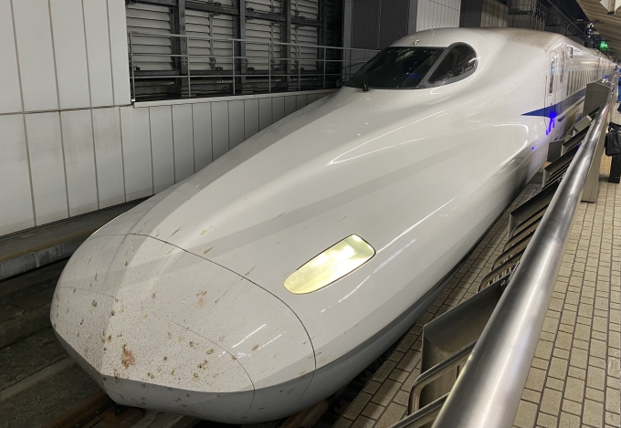 鉄道乗車記録の写真:乗車した列車(外観)(1)          「東京駅で出発待機中の乗車列車。」