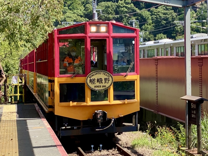 鉄道乗車記録の写真:乗車した列車(外観)(1)        「トロッコ亀岡駅に入線する乗車列車。」