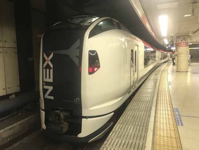 鉄道乗車記録の写真:乗車した列車(外観)(1)        「東京駅で出発待機中の乗車列車。」