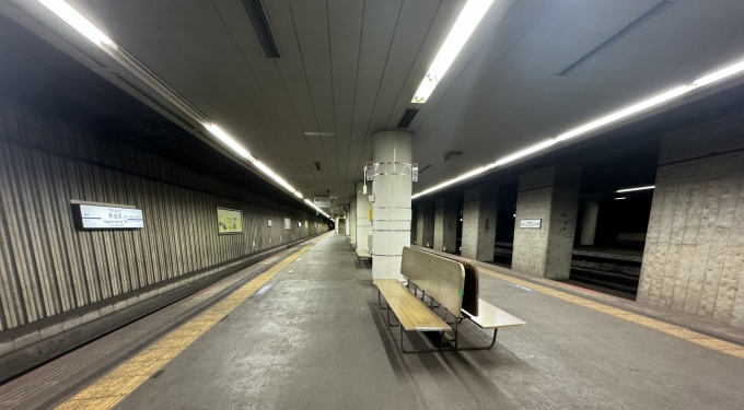 鉄道乗車記録の写真:駅舎・駅施設、様子(4)        「東成田駅ホームの様子。」