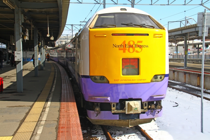 鉄道乗車記録の写真:駅舎・駅施設、様子(9)        「函館駅に到着。」