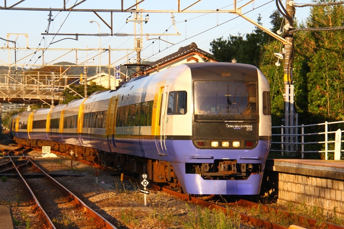 鉄道乗車記録の写真:乗車した列車(外観)(1)        「安房鴨川駅に入線する乗車編成。」