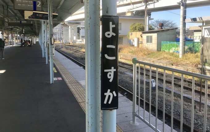 鉄道乗車記録の写真:駅名看板(3)        「横須賀駅ホームの駅名標。」