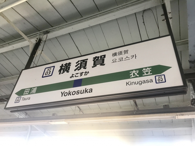 鉄道乗車記録の写真:駅名看板(6)        「横須賀駅の駅名標。」
