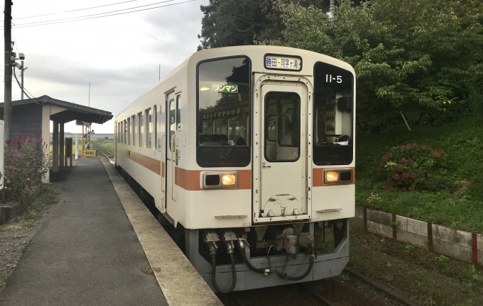 鉄道乗車記録の写真:乗車した列車(外観)(1)          「中根駅からキハ11-5に乗車。」