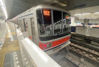 日吉駅から多摩川駅の乗車記録(乗りつぶし)写真
