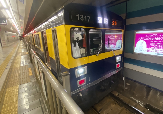 鉄道乗車記録の写真:乗車した列車(外観)(1)        「多摩川駅で出発待機中の乗車列車。」