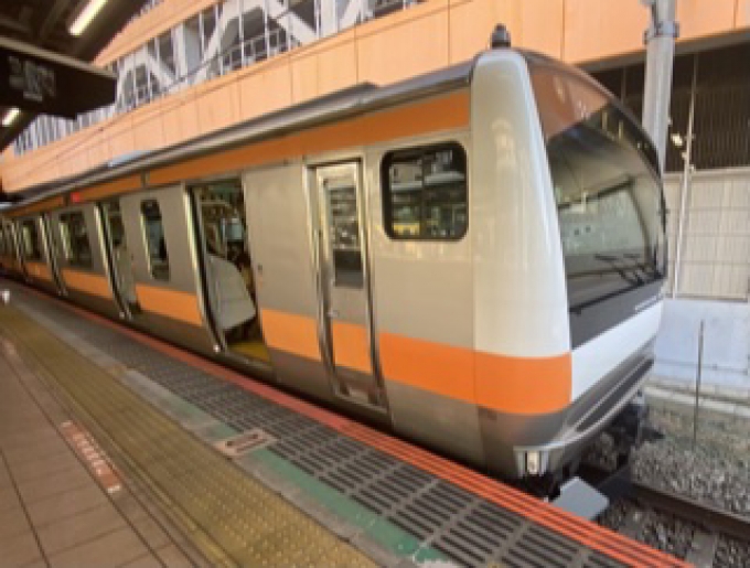 鉄道乗車記録の写真:乗車した列車(外観)(1)          「国分寺駅に到着した乗車列車」