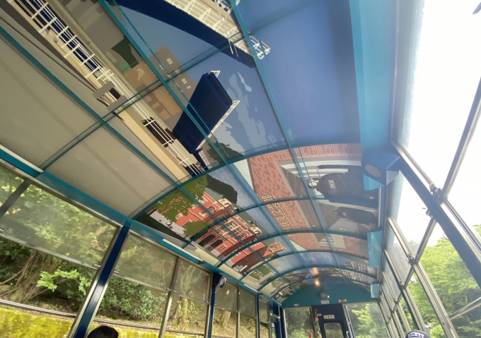 鉄道乗車記録の写真:車内設備、様子(4)        「乗車したトラ702客車の天井。」