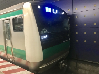 東京テレポート駅から天王洲アイル駅の乗車記録(乗りつぶし)写真
