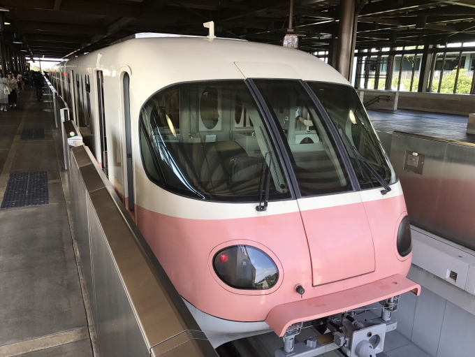 鉄道乗車記録の写真:乗車した列車(外観)(2)        「東京ディズニーシー・ステーション駅 に到着した乗車編成。」