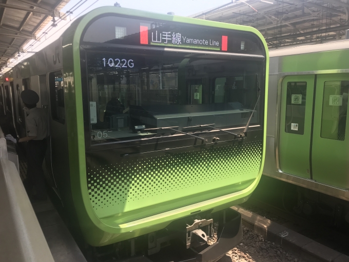 鉄道乗車記録の写真:乗車した列車(外観)(1)          「上野駅に到着した乗車列車。」