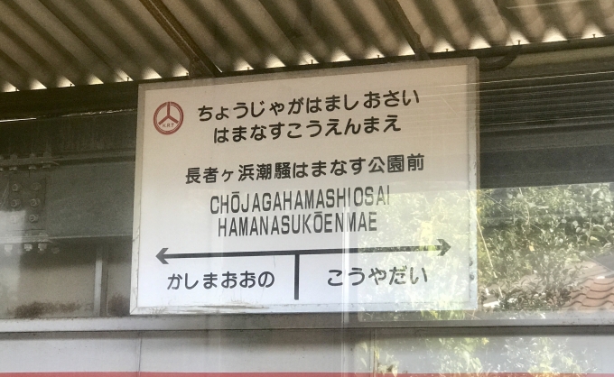 鉄道乗車記録の写真:駅名看板(5)        「降車しませんでしたが日本一長い駅名ということで車内から駅名看板を撮影。」
