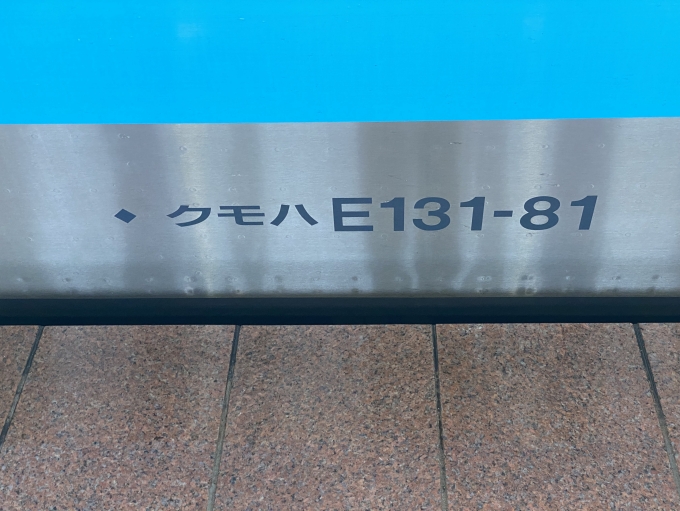 鉄道乗車記録の写真:車両銘板(8)        「車両側面に記載の車両番号。」