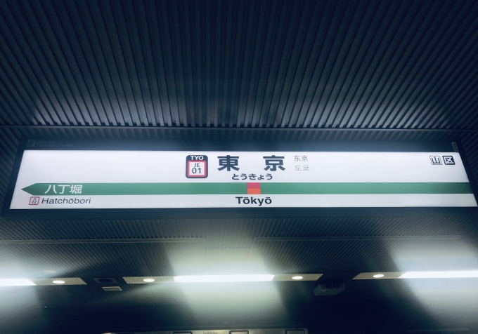 鉄道乗車記録の写真:駅名看板(6)        「東京駅に到着。」