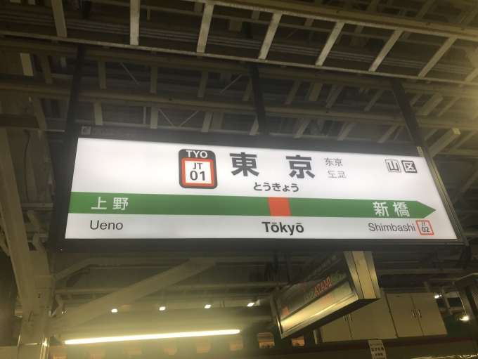 鉄道乗車記録の写真:駅名看板(3)        「東京駅の東海道線、上野東京ラインホームの駅名標」