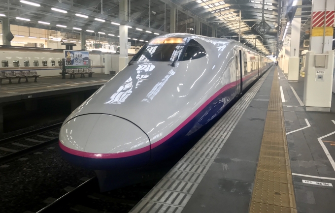 鉄道乗車記録の写真:乗車した列車(外観)(1)        「新潟駅で出発待機中の乗車列車。」