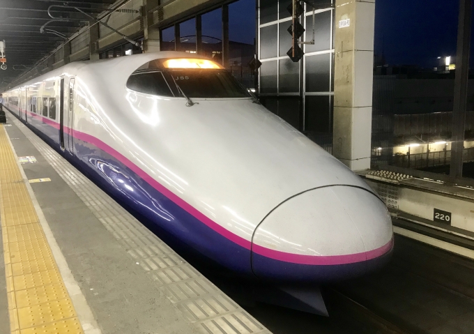 鉄道乗車記録の写真:乗車した列車(外観)(4)        「大宮駅に到着した乗車列車」
