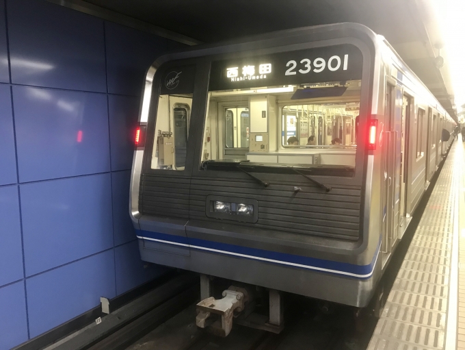 鉄道乗車記録の写真:乗車した列車(外観)(1)        「住之江公園駅で出発待機中の乗車車両。」