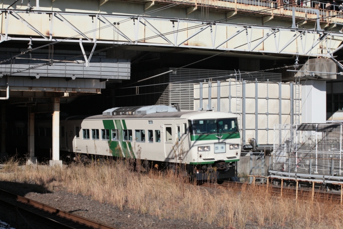 鉄道乗車記録の写真:列車・車両の様子(未乗車)(1)     「185系団臨に遭遇しました！」