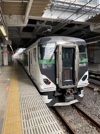 吉川美南駅から鎌倉駅:鉄道乗車記録の写真