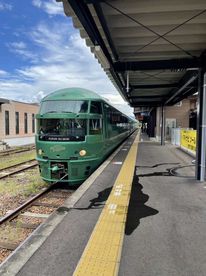 鉄道乗車記録の写真:乗車した列車(外観)(2)        「ゆふいんの森初乗車！
この旅で３回乗りました…ごほうびきっぷのおかげです。」