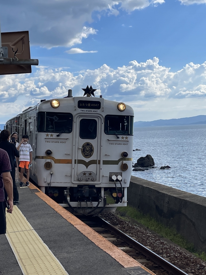 鉄道乗車記録の写真:乗車した列車(外観)(2)        「海が近くで白い列車が映えますね〜。」