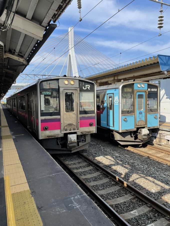 鉄道乗車記録の写真:乗車した列車(外観)(1)          「左側が津軽線方面蟹田行き。」