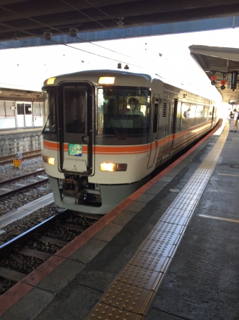 富士駅から身延駅:鉄道乗車記録の写真