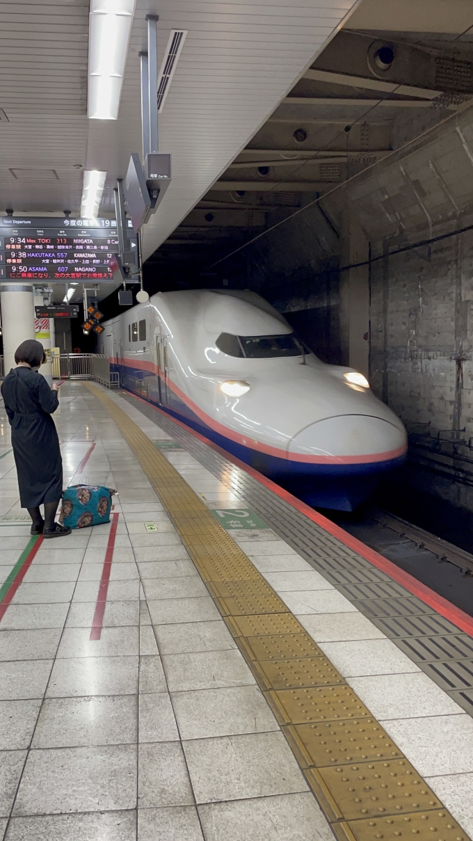 鉄道乗車記録の写真:乗車した列車(外観)(1)          「おそらくラストになるＥ４系新幹線。
」