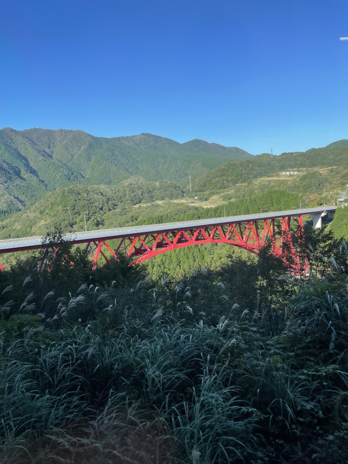鉄道乗車記録の写真:車窓・風景(3)        「緑の中の真っ赤な橋はとても印象に残りました。
とてもよく映えます。」