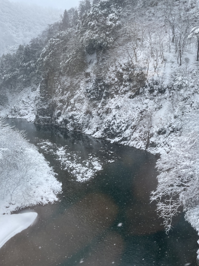 鉄道乗車記録の写真:車窓・風景(3)        「雪が降ると幻想的になりますね、普段見慣れてないからですが…」