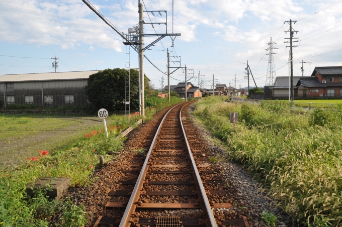 鉄道乗車記録の写真:車窓・風景(5)        「美濃本郷第12踏切から、大垣方面。」