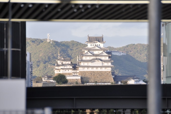 鉄道乗車記録の写真:車窓・風景(4)        「姫路駅から望む姫路城。」