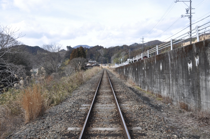 鉄道乗車記録の写真:車窓・風景(8)        「須郷踏切から、伊勢奥津方面。」