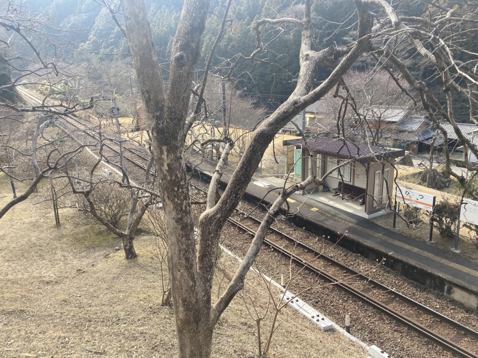 鉄道乗車記録「比津駅から神沢駅」車窓・風景の写真(2) by Aץame 撮影日時:2022年01月29日