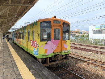 大垣駅から谷汲口駅の乗車記録(乗りつぶし)写真