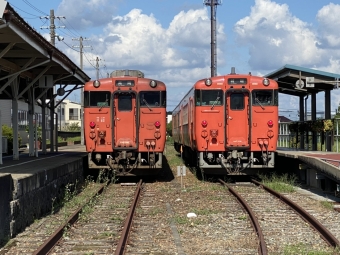 新高岡駅から城端駅:鉄道乗車記録の写真