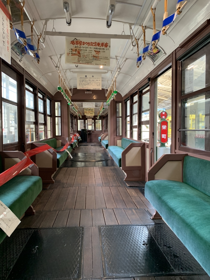 鉄道乗車記録の写真:旅の思い出(1)        「レトロのりもの館は、子供の頃の名古屋を走っていた市電が展示されていて、座席に座ることができました。あまりに懐かしすぎ、外観の写真を撮るのをわすれてしまいました・・・。」