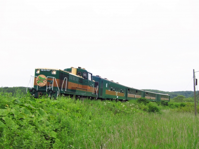 鉄道乗車記録の写真:列車・車両の様子(未乗車)(3)        「釧路湿原ノロッコ号。結局乗れず撮っただけ。」