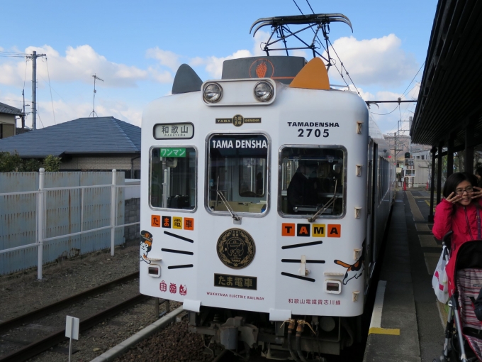 鉄道乗車記録の写真:乗車した列車(外観)(1)     「狙ったわけではないのですが、たまたま「たま電車」に乗ることができました。」